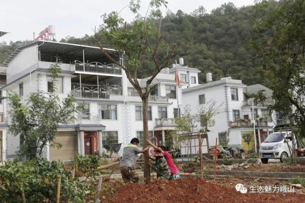 “绿美乡村”建设 玉溪峨山这样干_资料区_云南频道_云南网