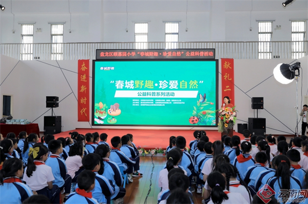 盘龙区颐惠园小学图片