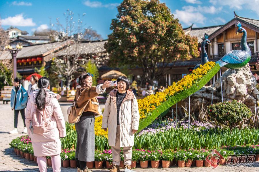 云南省文化和旅游厅