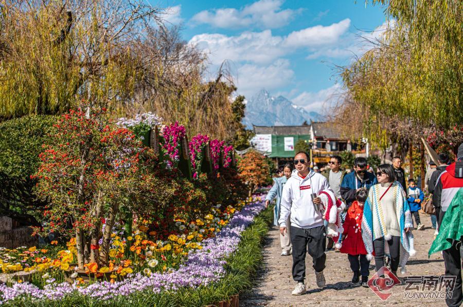 云南省文化和旅游厅