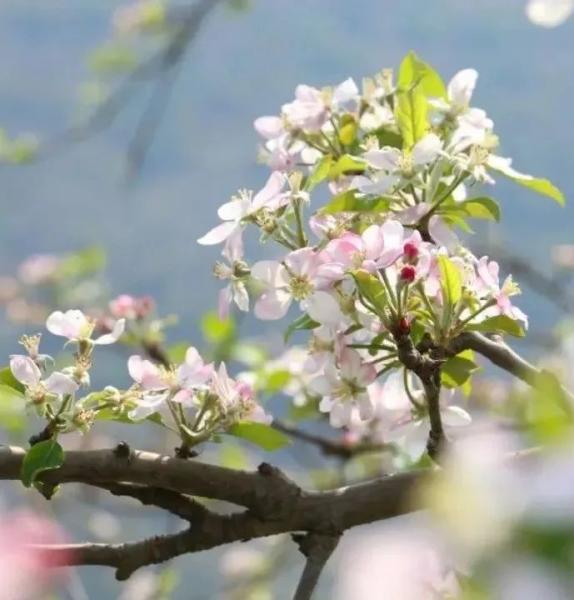 云南省文化和旅游厅