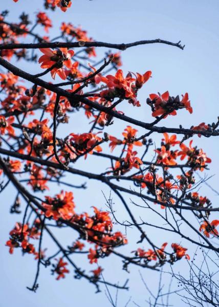 云南省文化和旅游厅