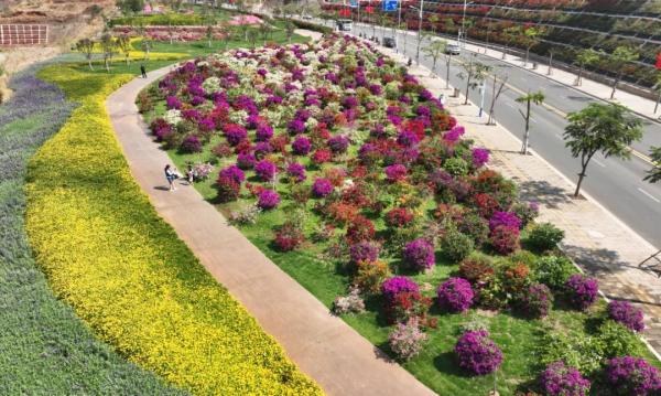 昭通巧家:花都开好了!该见一面了!_资料区_云南频道_云南网