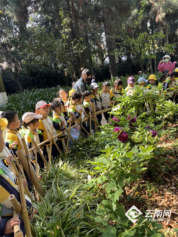 昆明市第十五幼儿园教育集团东园区举行春游活动