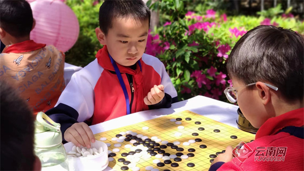 昆明市盘龙区中小学生围棋迎春