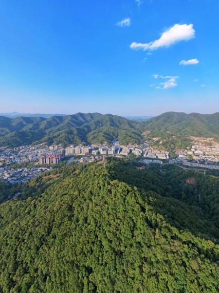 的江城县南麓山森林公园,是无数次的春和景明_资料区_云南频道_云南网