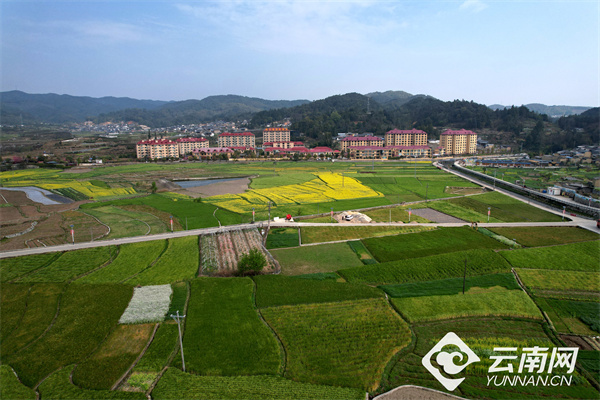 田园乡韵绘美景云南龙陵县农文旅融合推进乡村振兴