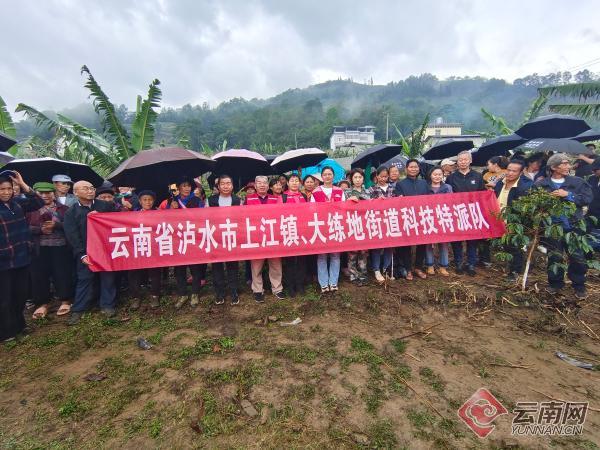 云岭农科小院落户泸水助力乡村产业振兴