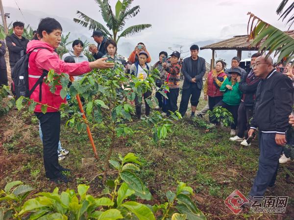 云岭农科小院落户泸水助力乡村产业振兴