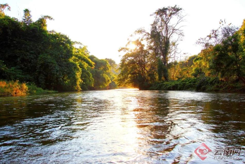 云南南滚河保护区生物家族频频"上新"