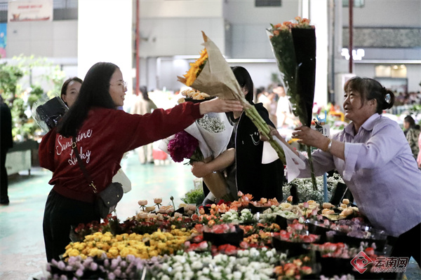 在昆明市呈贡区斗南花卉交易市场内,游客络绎不绝,玫瑰,月季,康乃馨