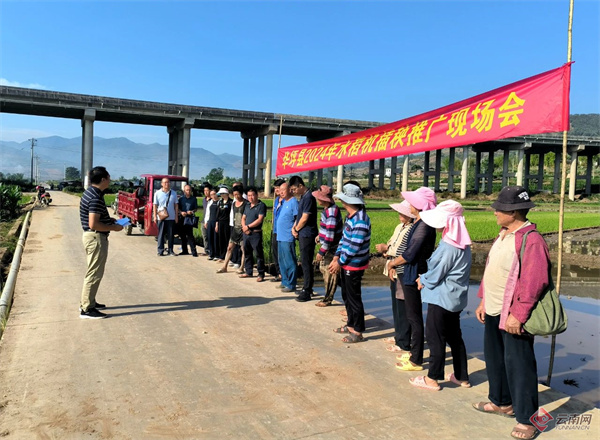 省级社科学术社团"对策应用组"举行2024年第二次大学习大实践活动