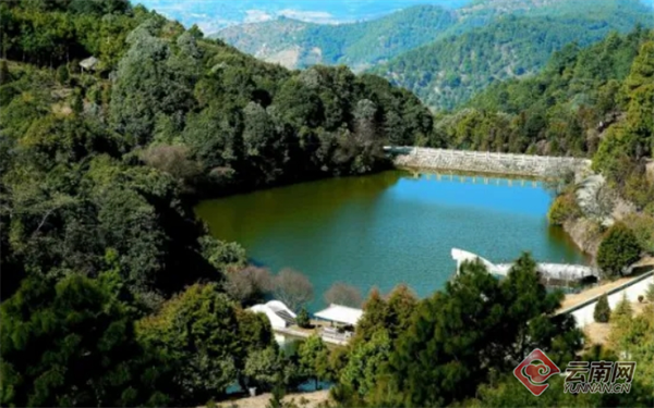 国际生物多样性日|临沧市临翔区:滇西南"动植物王国"的缩影