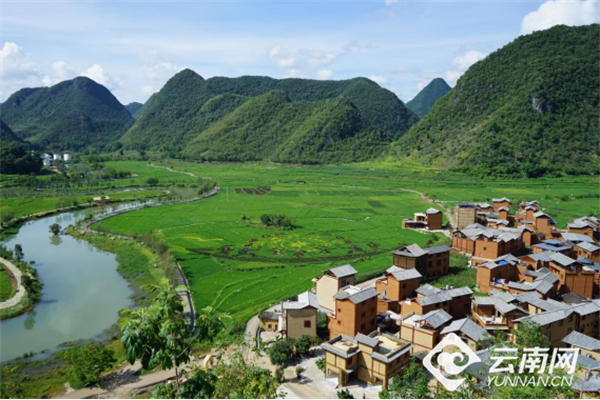 用好中央彩票公益金 促革命老区与乡村振兴融合_经济_云南频道_云南网