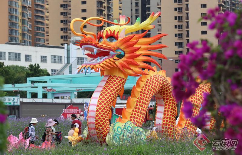 昆明宜良花街节:龙凤呈祥迎佳节   繁花锦绣庆端午