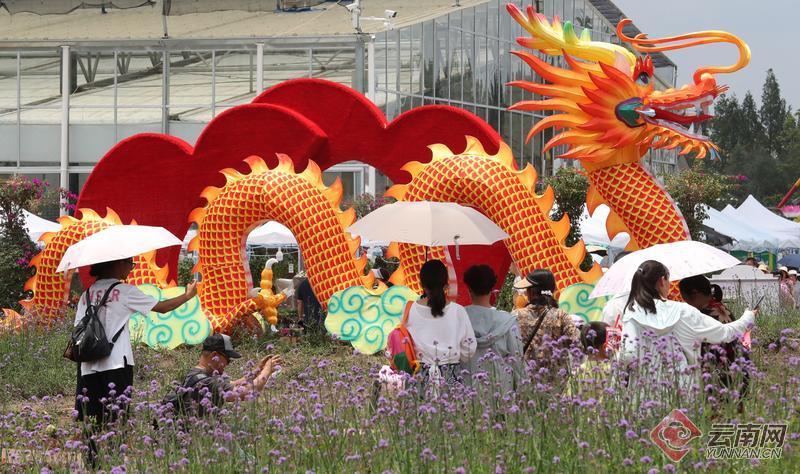 昆明宜良花街节:龙凤呈祥迎佳节   繁花锦绣庆端午