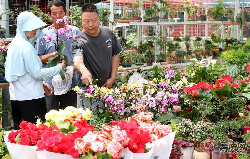 云南宜良花街节图片