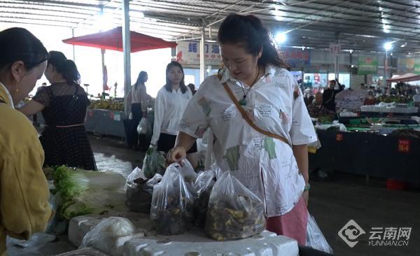 科教> 在龙陵县农贸市场,野生菌种类十分丰富,有粉菌,野生平菇,见手青