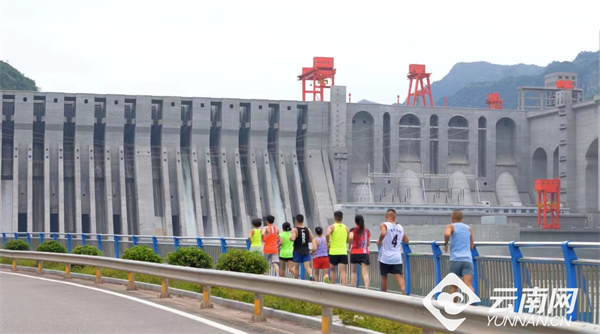 2024云南水富半程马拉松9月28日开跑_文娱_云南频道_云南网