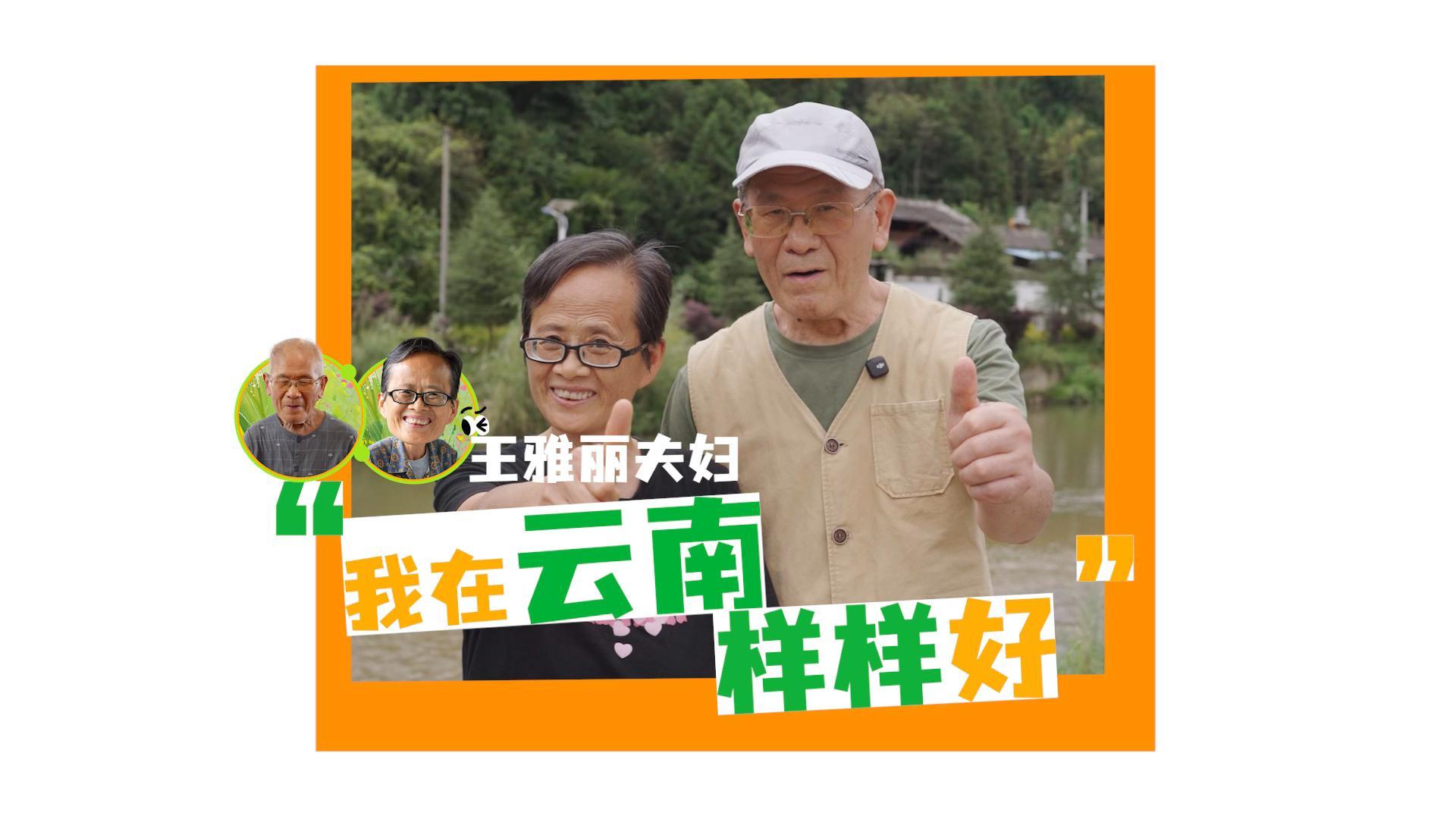 【专题】“有一种叫云南的生活”·旅居云南_云南网