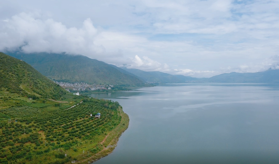 程海保护|科技加持,让程海湖水生态环境稳中向好_科教_云南频道_云南网